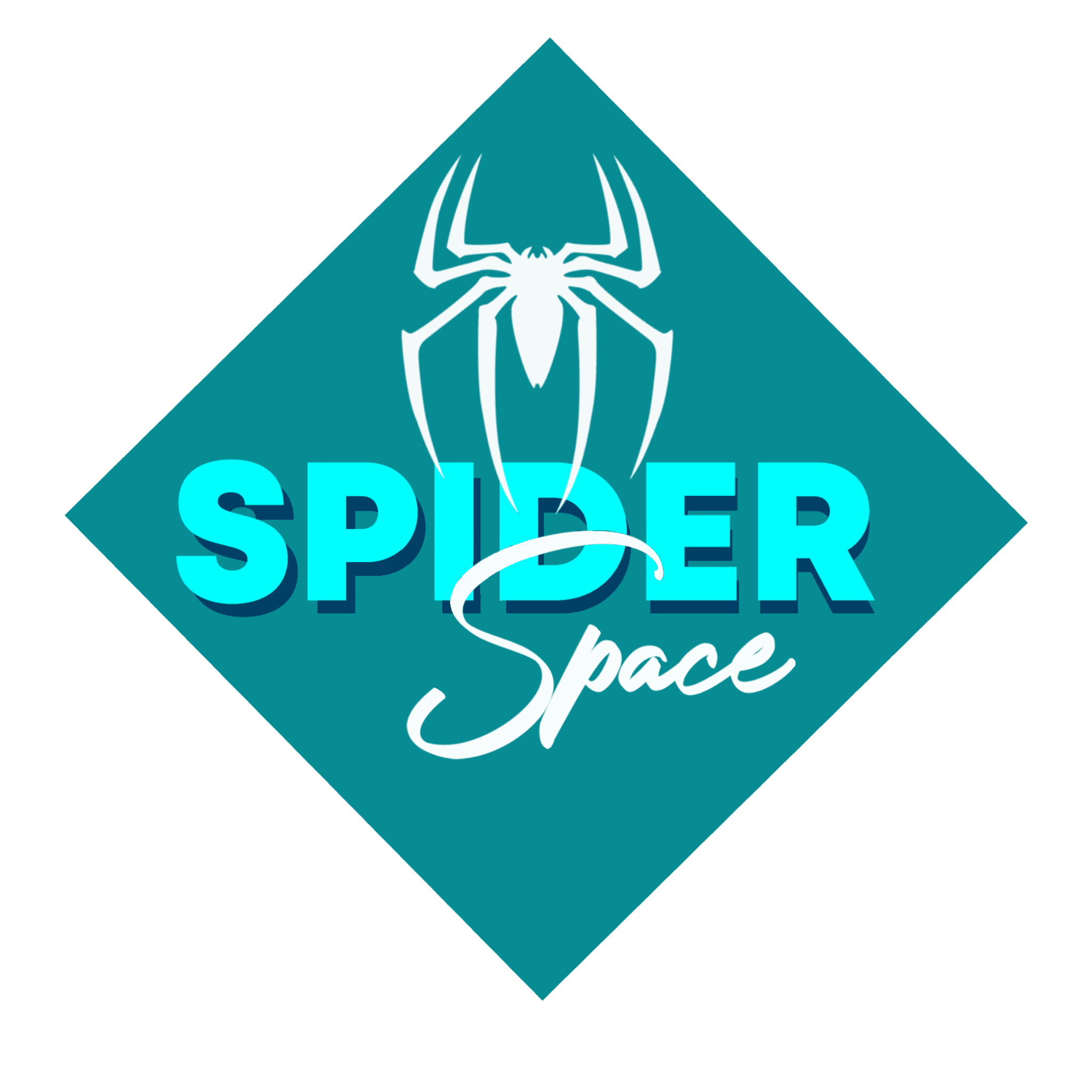 Spider Space logo